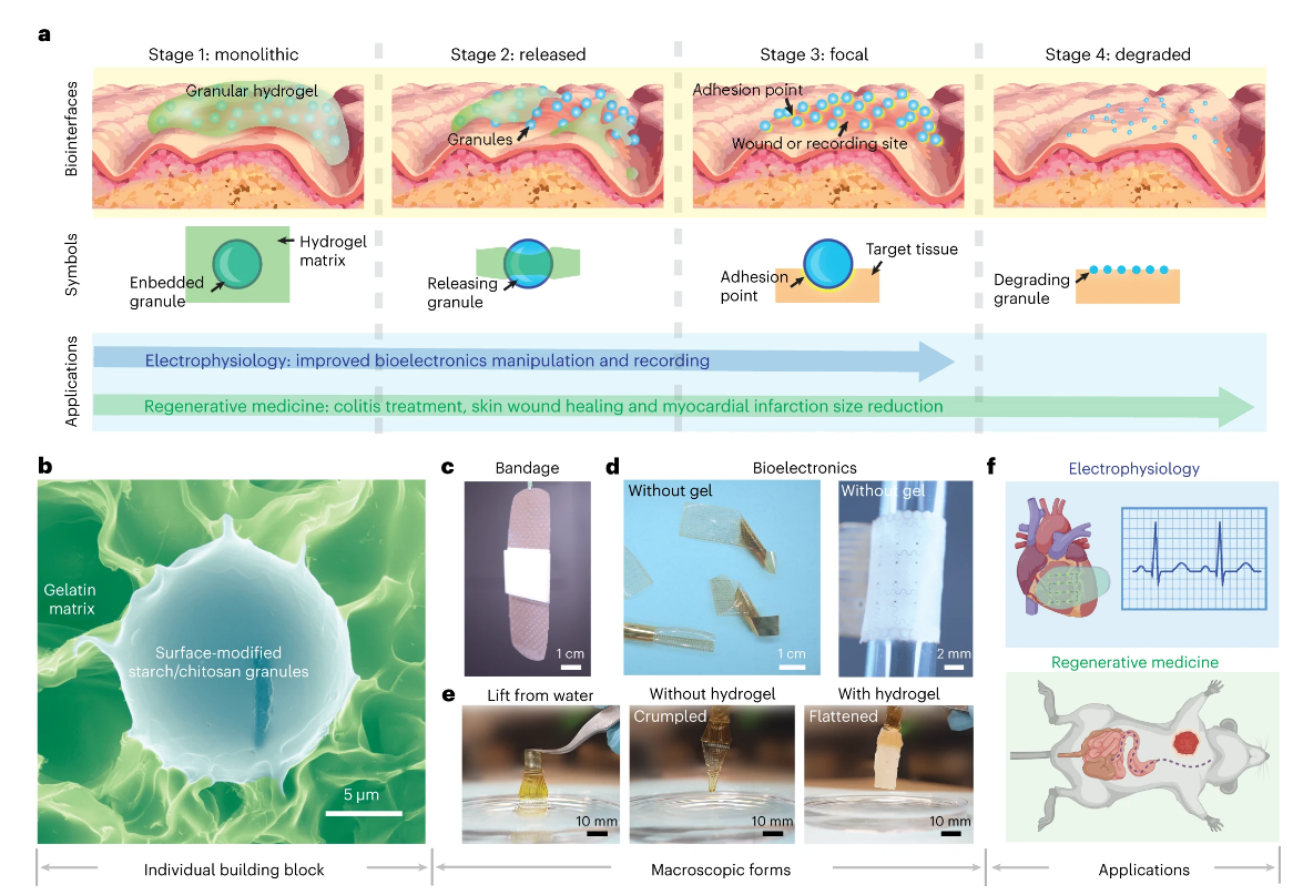 research papers in bioelectronics