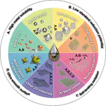 Gallium-based liquid metals as reaction media for nanomaterials synthesis (Invited Review)